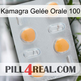 Kamagra Gelée Orale 100 24